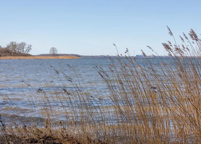 Bobby Дом отдыха